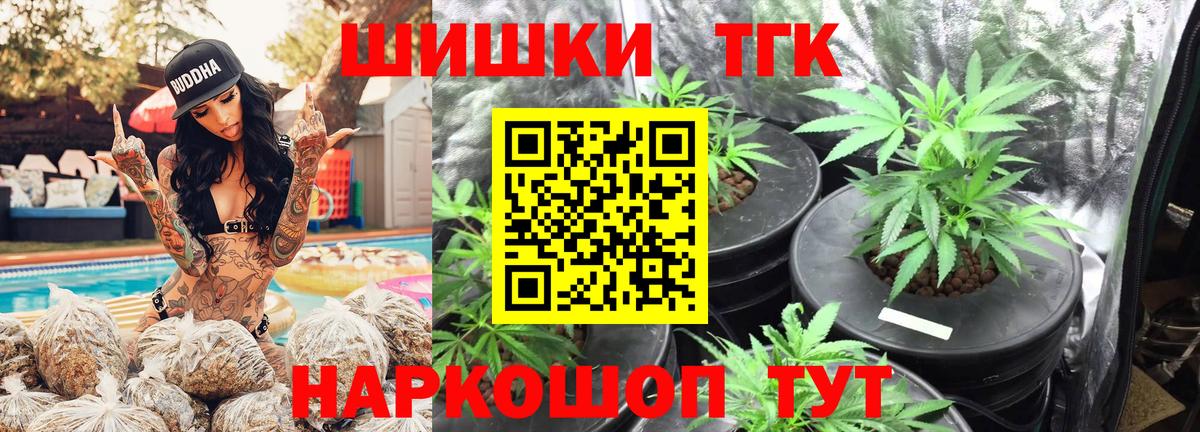 Конопля сатива Солнечногорск